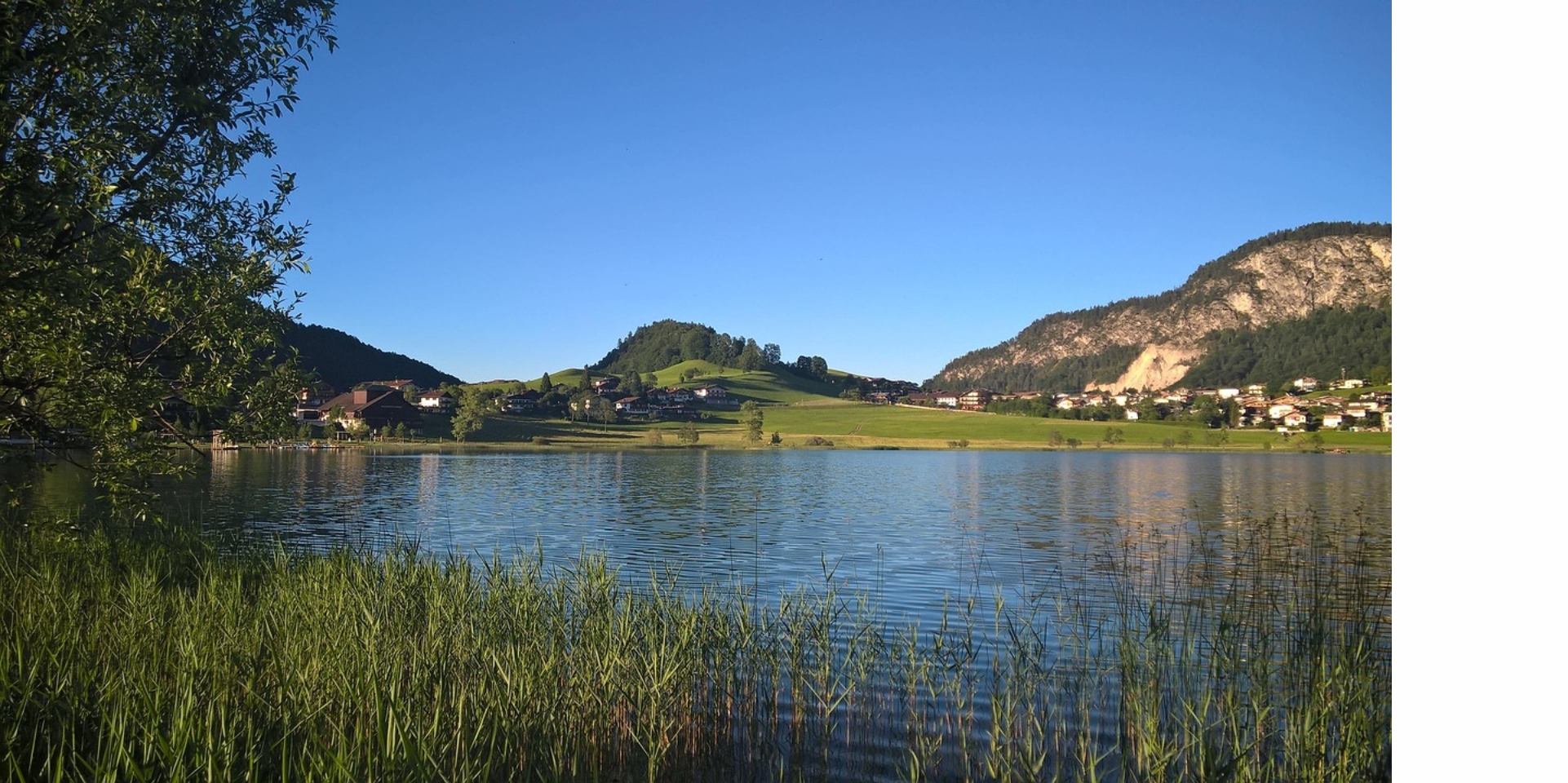 Blumenwiese auf der Bundesgartenschau